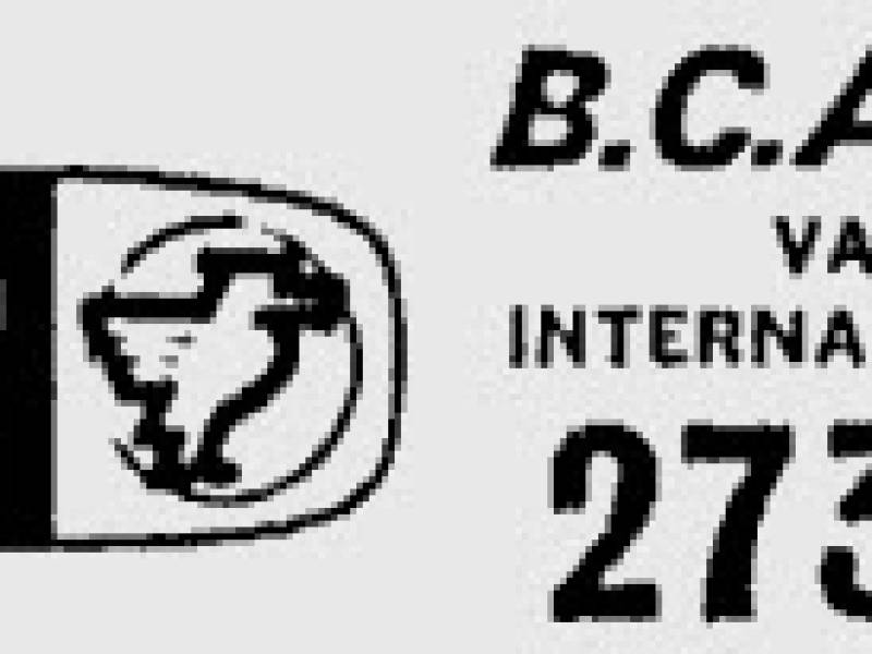 bcalogoinfo.jpg