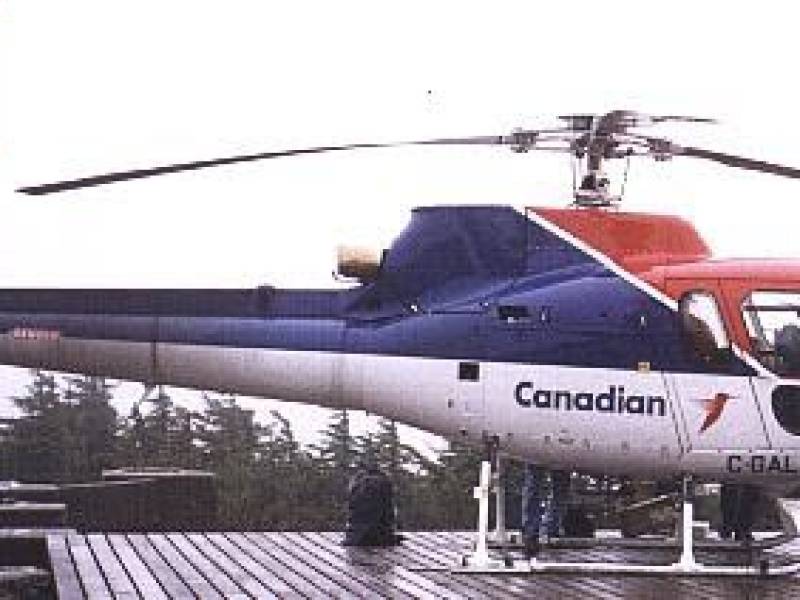 canadianastarattrutch.jpg