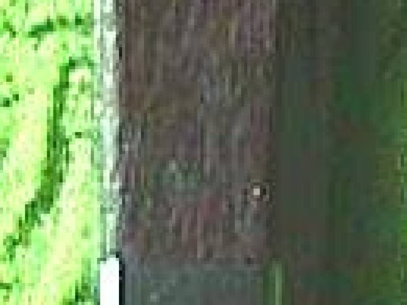 15th_anniv_bc_tel_knife.jpg
