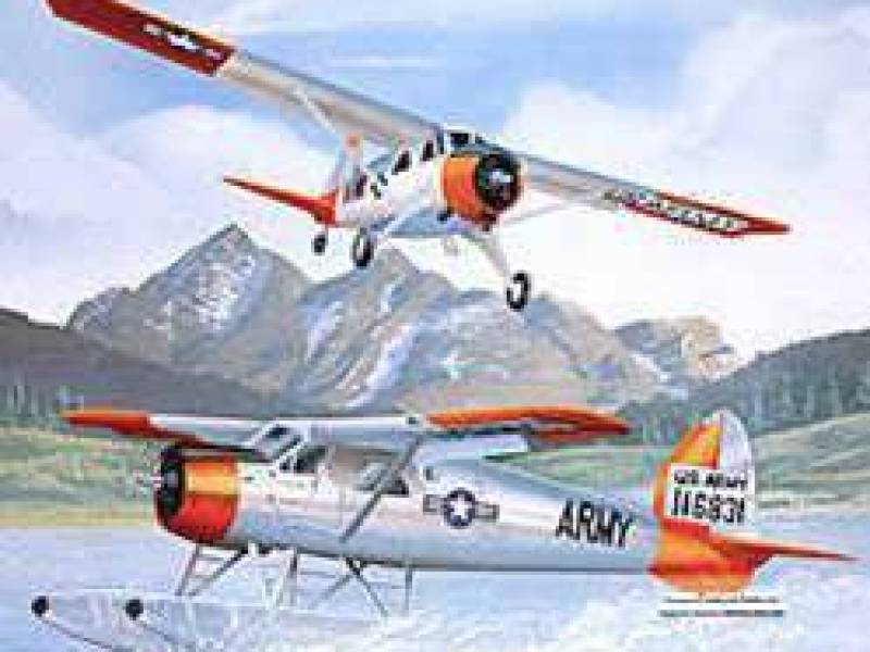 beaverairplane.jpg