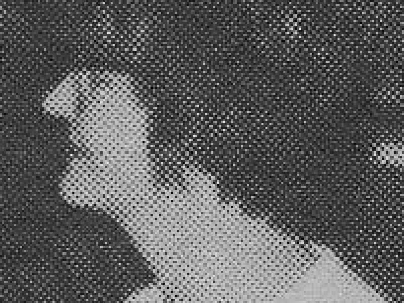 joannemckeownsideview.jpg