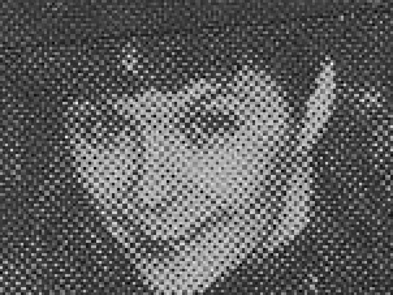 judyneedham.jpg