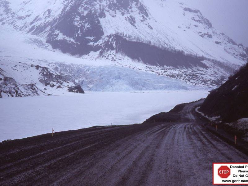 bear_glacier_1980-81_img011.jpg