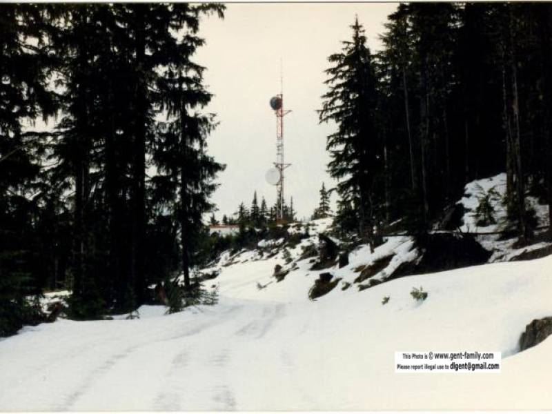 brown_bear_site_from_road.jpg