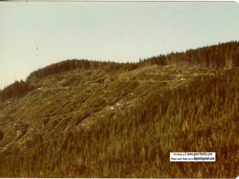 mt._griffin.jpg
