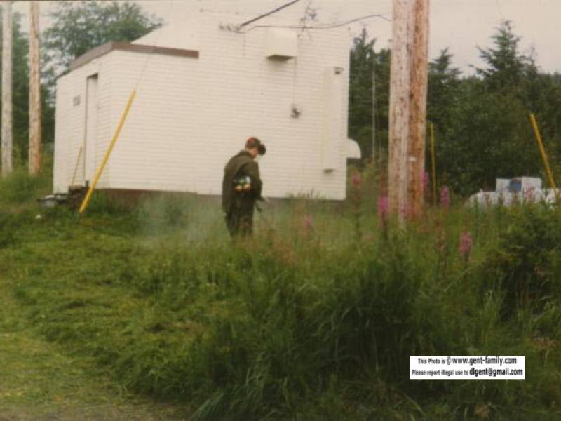 port_simpson_weed_cutting.jpg