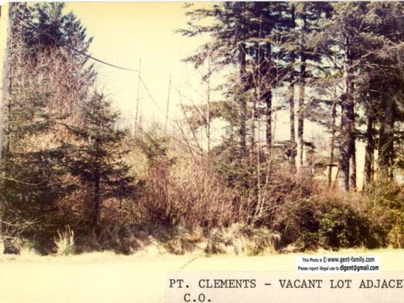 pt_clements_co_vacant_lot_adjacent.jpg