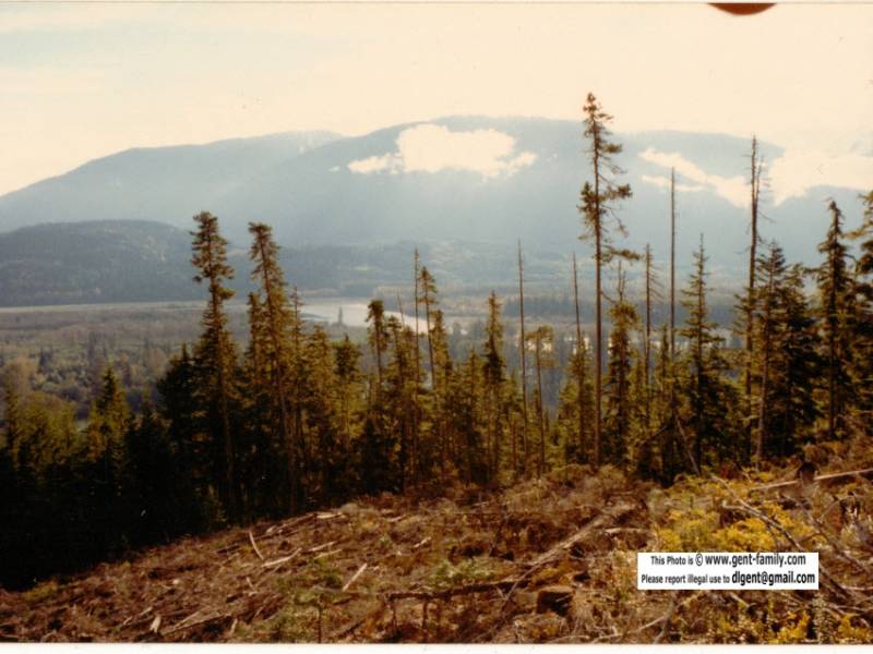 ron_anderson_bag1_pic4.jpg