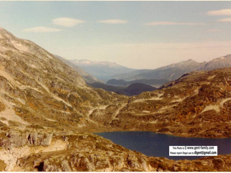 ron_anderson_bag1_pic_11.jpg
