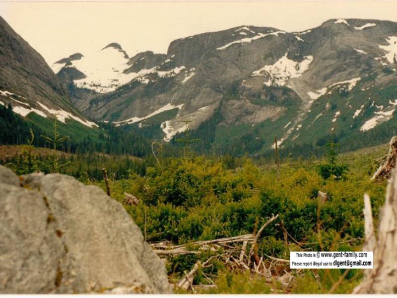 ron_anderson_bag329_medium_.jpg