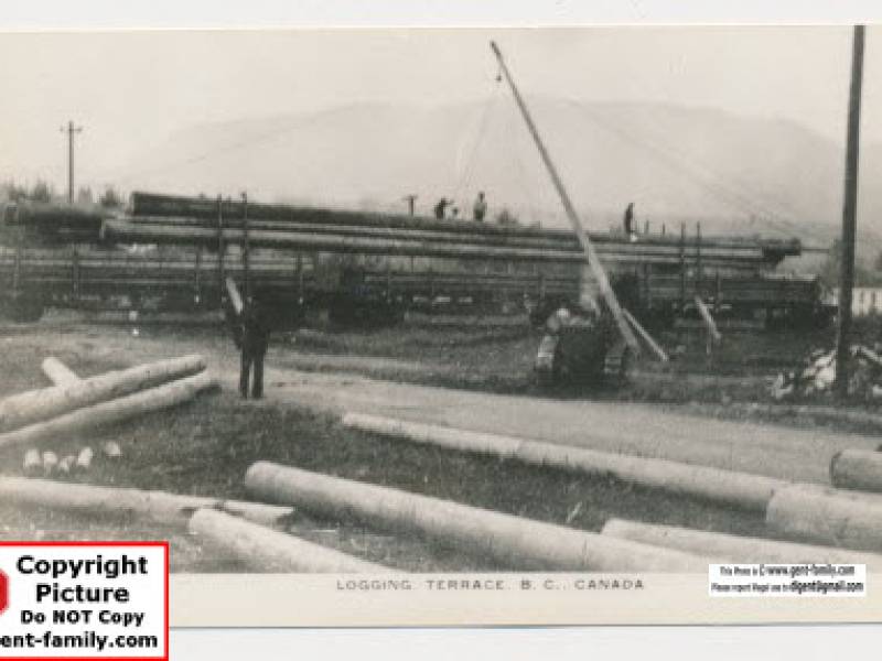 cedar_pole_loading_terrace.jpg