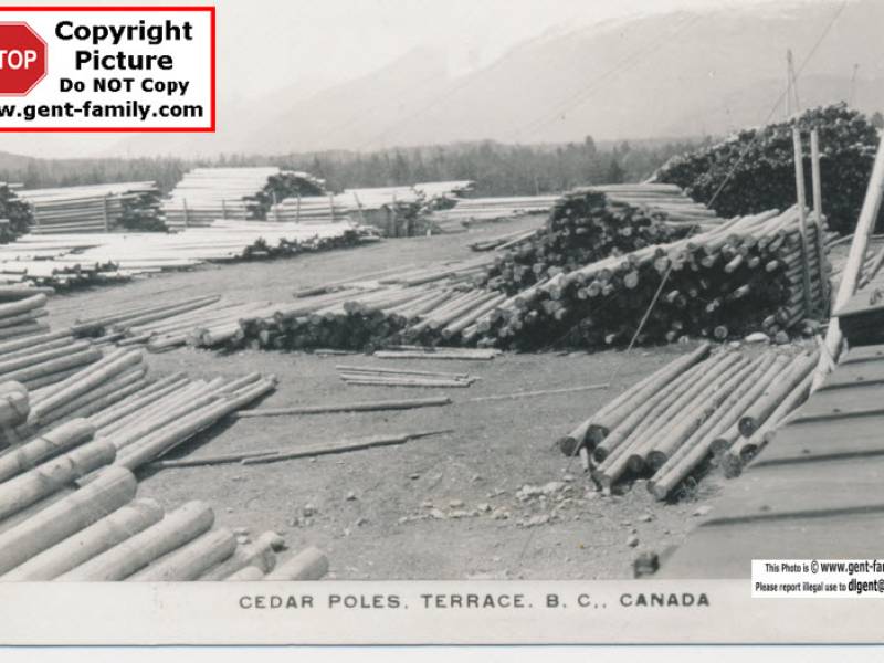 cedar_pole_yard_in_terrace.jpg