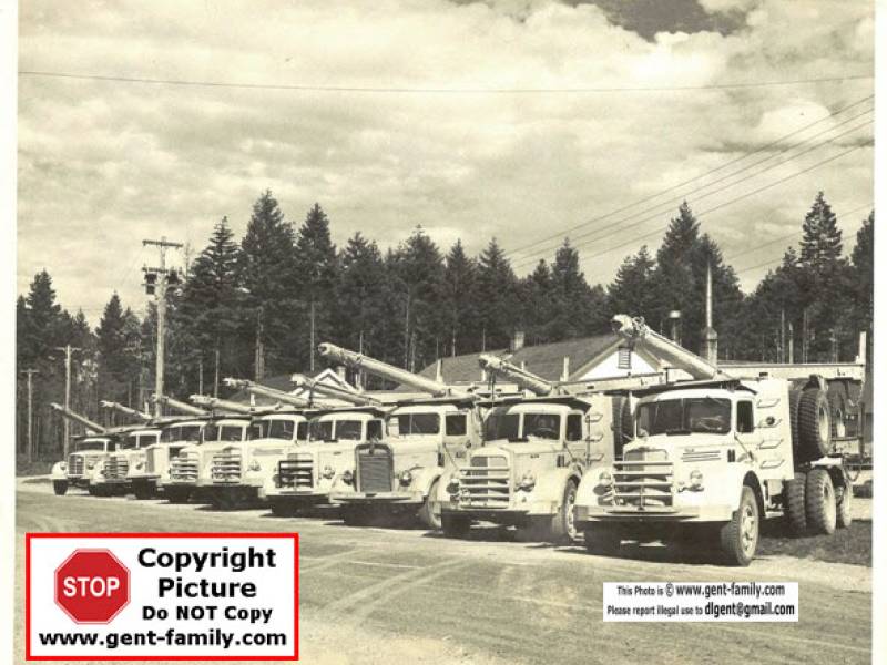 emptytruckslinedup001.jpg