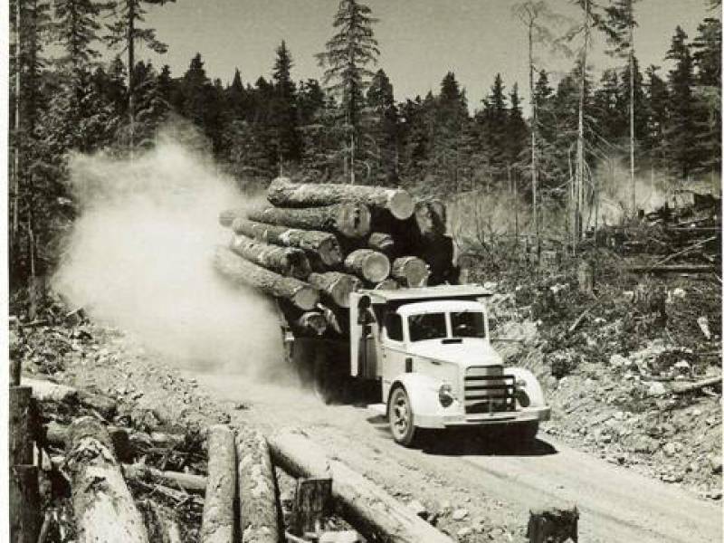 loadedtruck002_4_.jpg