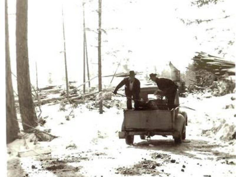sandingloggingroad001_4_.jpg