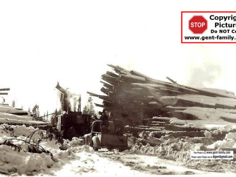 sandingloggingroad002_3_.jpg
