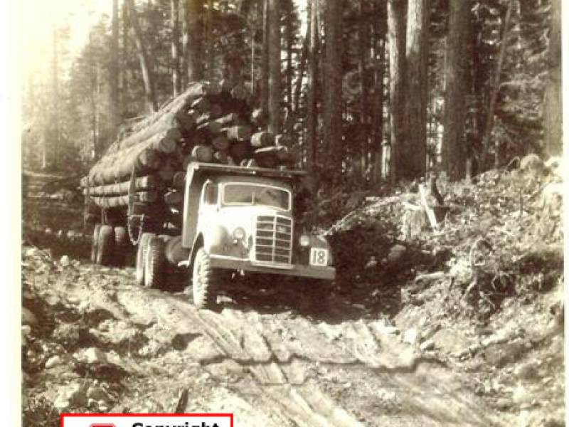 truck18loaded002_2_.jpg