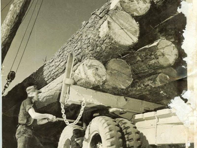 unloadingtruck003_2_.jpg