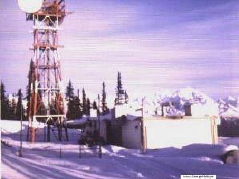zymoetz1970.jpg