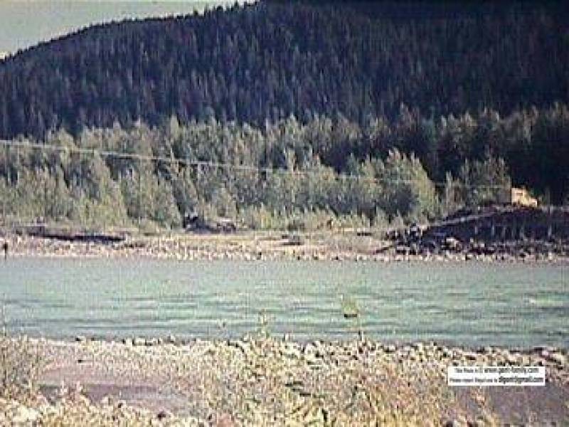 zymoetztramwayside.jpg