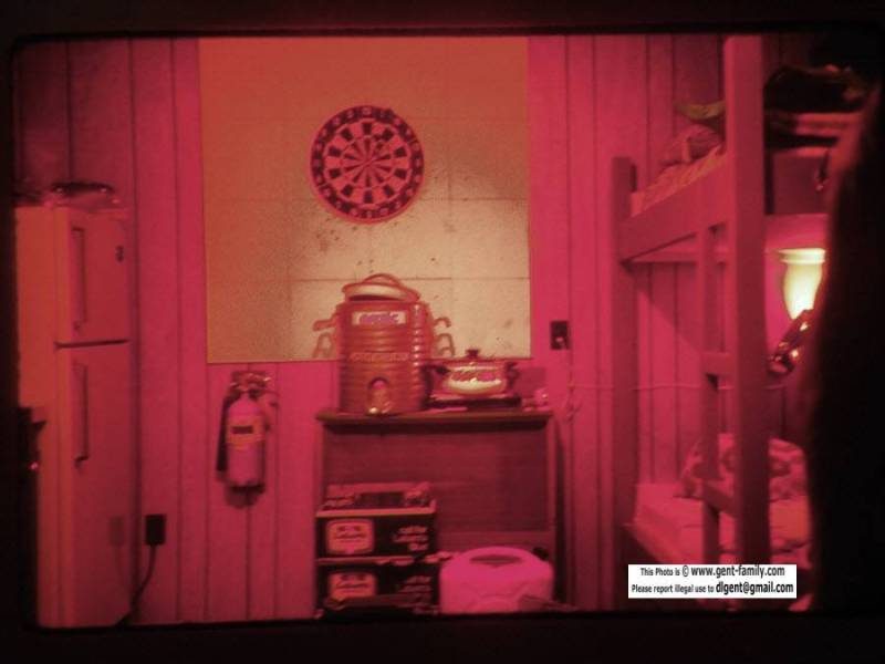 brown_bear_inside_living_quarters-0018.jpg