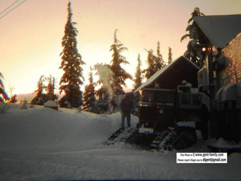 brown_bear_tucker_snowcat-0033.jpg