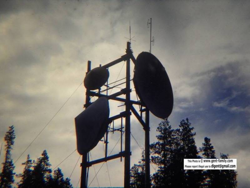 brown_bear_wood_antenna_structure-0034.jpg