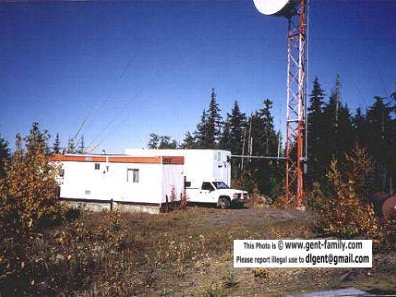brownbear1998livqtrsradioroomolverpic.jpg