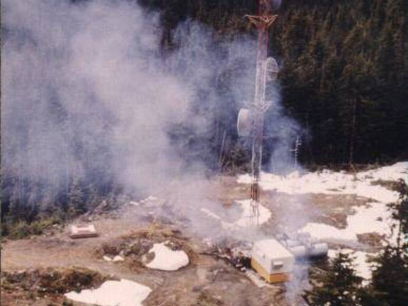 brownbearfire1986.jpg