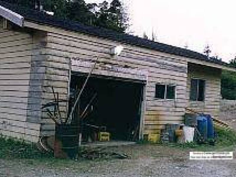trutchgaragelaundry1989.jpg