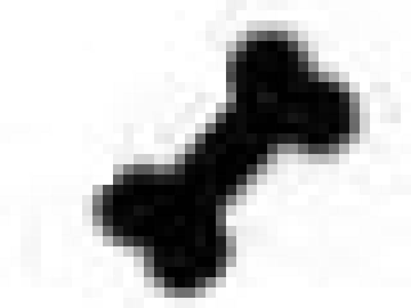 dog_bone.jpg