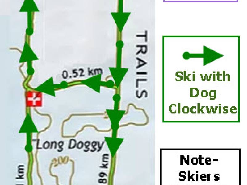 dog_trail_modified.jpg
