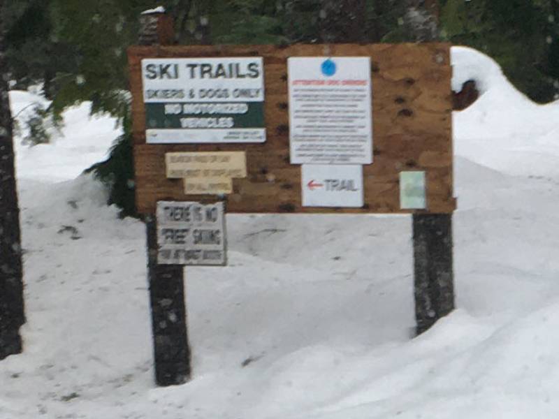 dog_trail_sign_img_0829.jpg