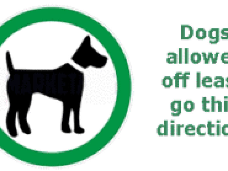 dogs_allowed_sign.png