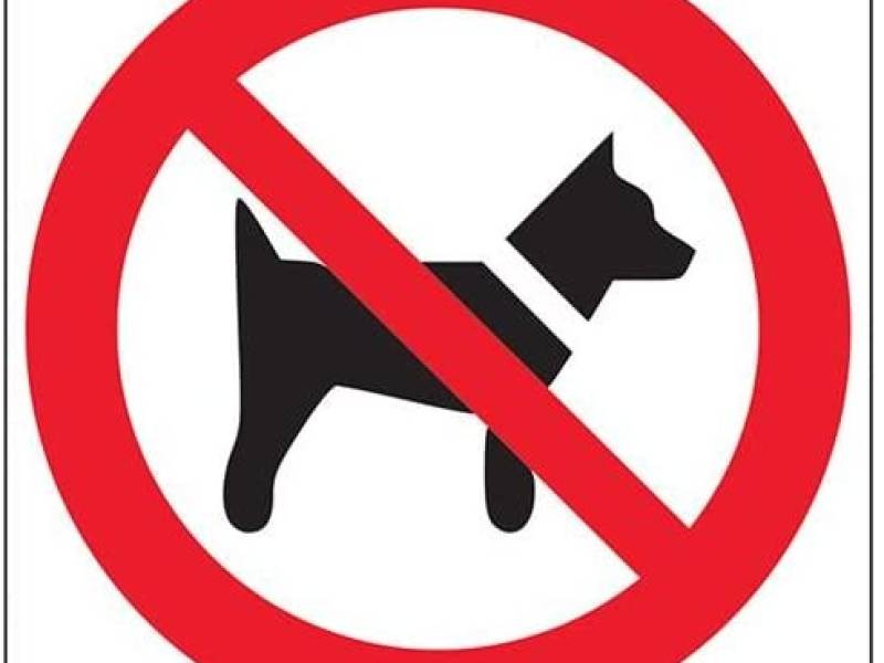 no_dog_sign_2.jpg