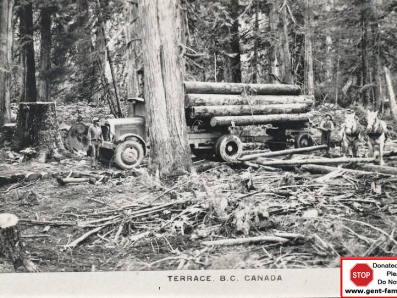 terrace_logging_truck_logo.jpeg
