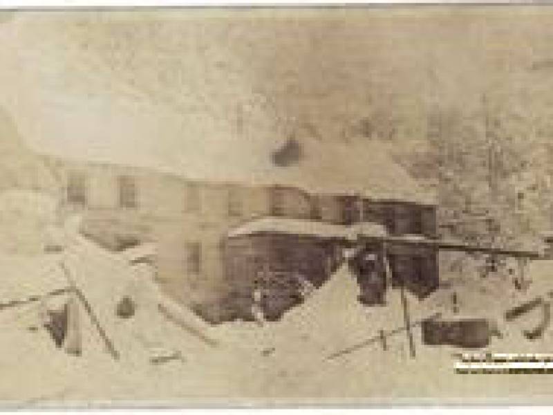 alice_arm_1925_2_.jpg