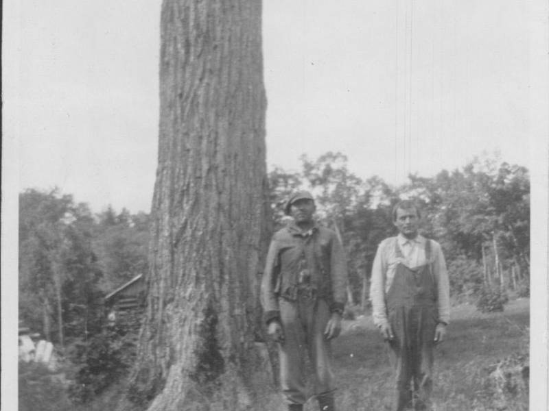anyox.lumberjacks.jpg