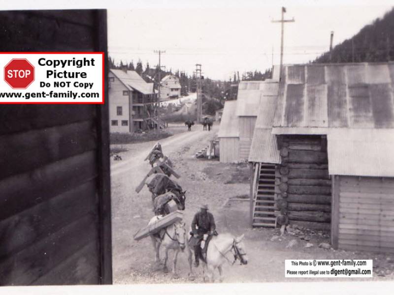 horse_pack_train_unknown_place.jpg