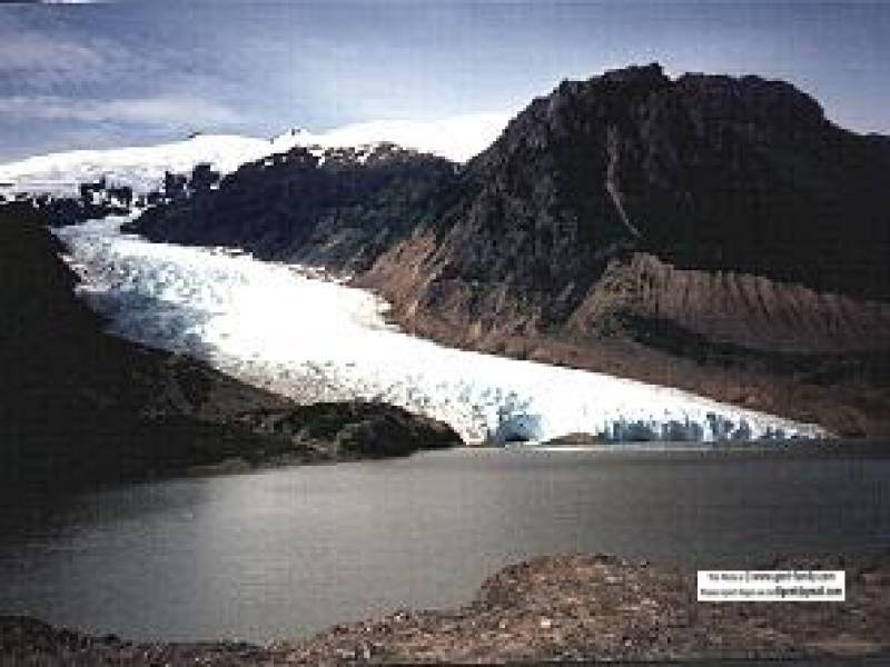 bearglacier.jpg