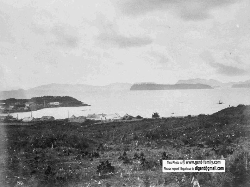 c002791.jpg