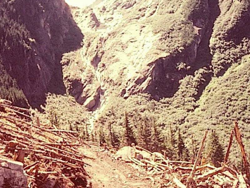 kemano._road_to_access_towers_1953.jpeg