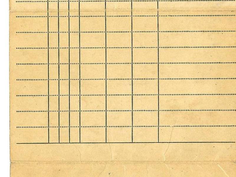 walker_driver_licence_front.jpg