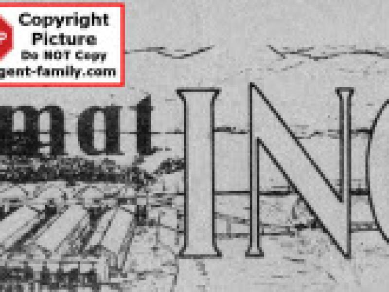 ingotnewspaerheadline.jpg