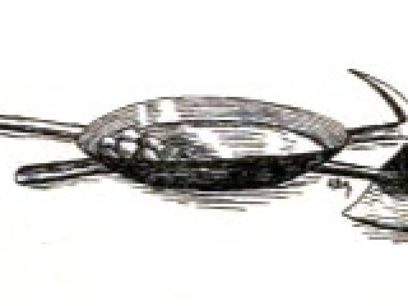 LEAD Technologies Inc. V1.01