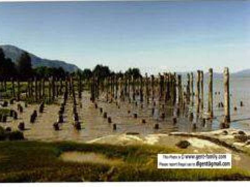 port_essington_wharf_pilings.jpg