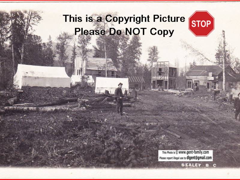 sealey_postcard.jpg