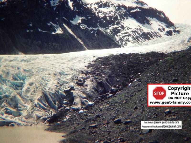 bear_glacier-0015.jpg