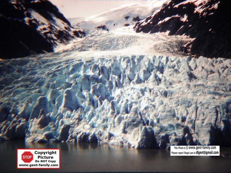 bear_glacier_100_7257-0002.jpg
