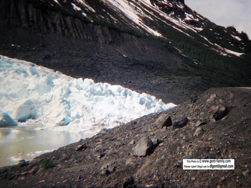 bear_glacier_100_7258-0003.jpg